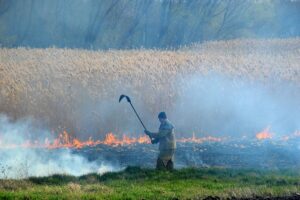горит сухая трава