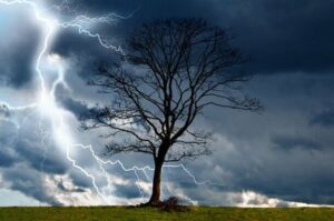 tree-and-storm