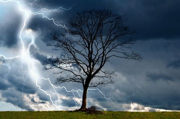 tree-and-storm