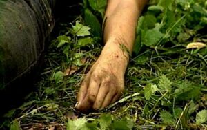труп в кустах, фото из открытых источников