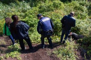 фото https://informator.dp.ua, труп в балке