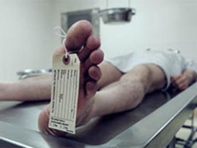 фото Максима Ершова