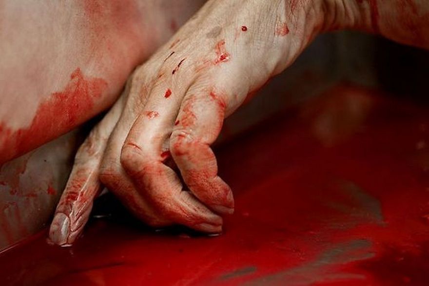 труп в крови, фото из открытых источников
