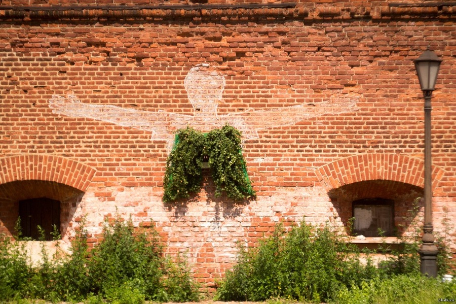 Борьба с туберкулезом