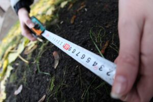 участок земли, фото http://hyser.com.ua