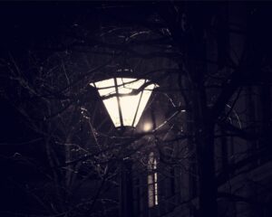 ulichnyy_svet