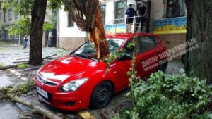 Непогода: на Жуковского молния ударила в дерево (Фото)