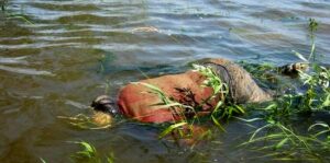 утопленник, фото из открытых источников