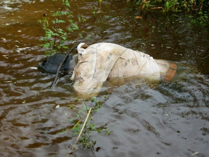 утопленник, фото из открытых источников