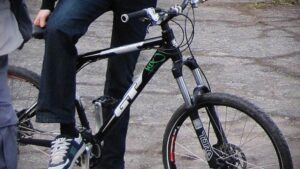 velik_1