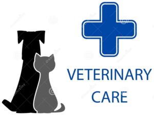 veterinarnyy-simvo-zaboty-37363460