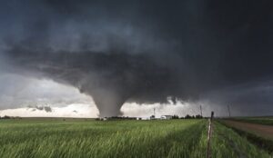 vincentdelignycopyrightbenningtons-800x5331-e1498907177143-768x445