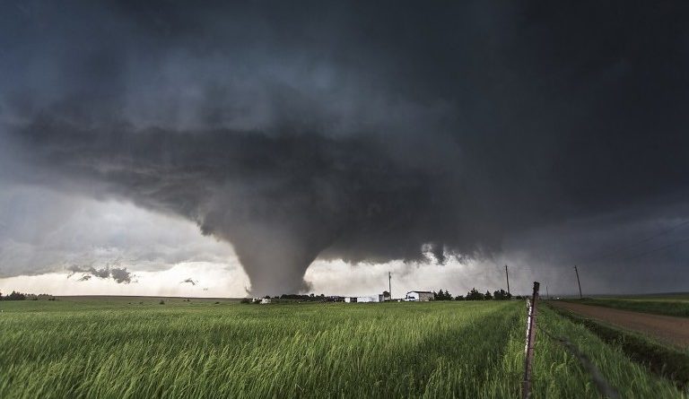 vincentdelignycopyrightbenningtons-800x5331-e1498907177143-768x445