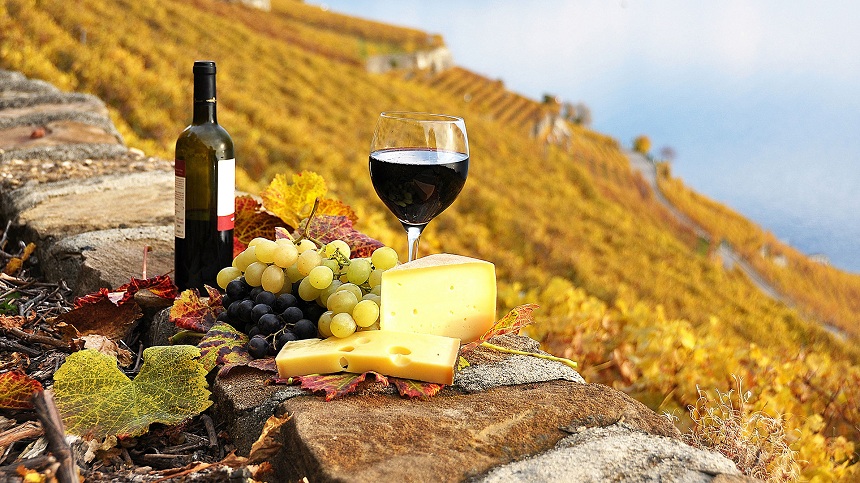 vino