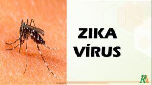 virus_zika_0