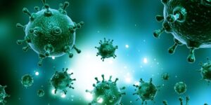 viruses