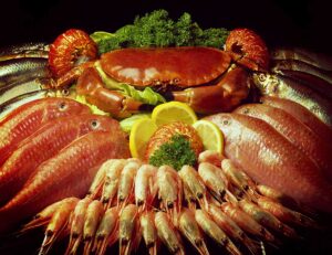 Морепродукты