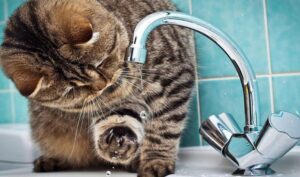 В Днепре аварийное отключение воды