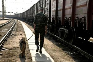 работник ВОХР с собакой