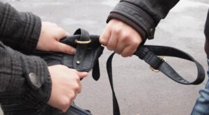 выхватить сумку, фото из открытых источников