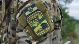 шеврон