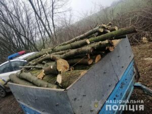 фото полиции