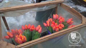 wp_20180307_07_45_14_pro_0