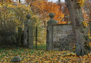 Женщина на картине Йорга