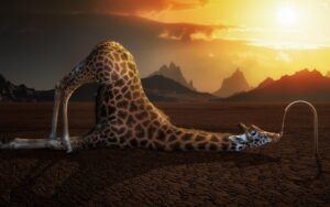 утолить жажду, фото из открытых источников