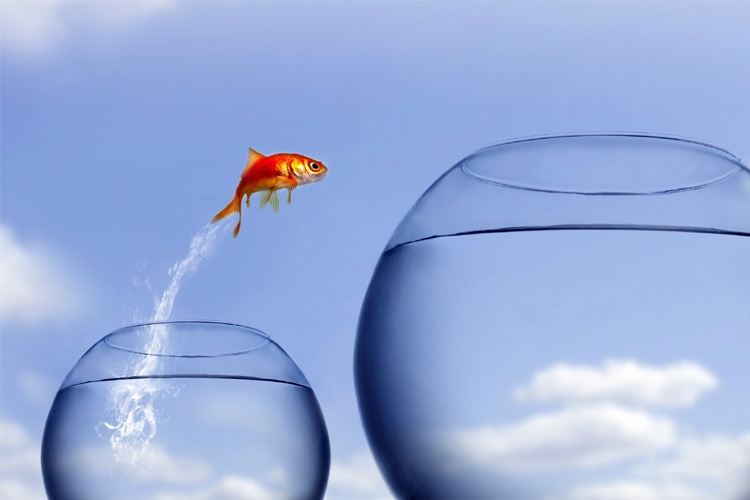 зона комфорта