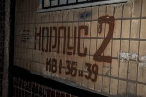zooyqskagn0-e1494536192862