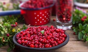 Ягода бессмертия: снижает риск развития рака и способствует снижению веса