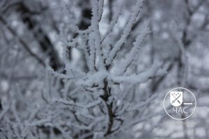 Прогноз погоды на Днепропетровщине