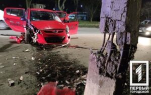 В Кривом Роге таксист насмерть сбил человека