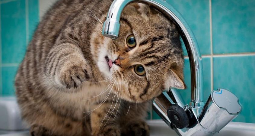 Отключение воды