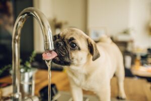 В Днепре 16 февраля аварийное отключение воды: ищите свой адрес