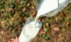 Названы продукты, от которых можно заразиться сальмонеллезом