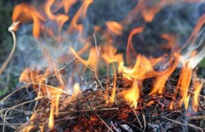В Днепре несколько дней продержится чрезвычайная пожарная опасность