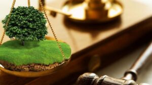 В Украине земельные участки будут продавать на электронных аукционах