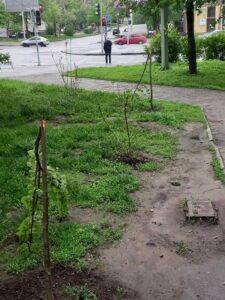 Как и когда пройдет последний звонок в Днепре