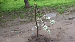 В Днепре задержали пьяного подростка, который поломал деревья