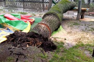 В Днепре в парке Глобы коммунальщики ликвидируют последствия непогоды