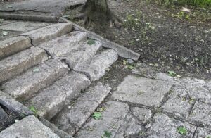 В Днепре планируют восстановить территорию возле ботанического сада ДНУ