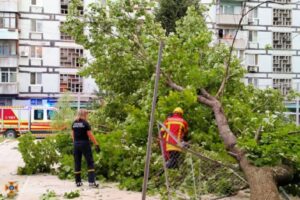 В Днепре на Тополе дерево рухнуло на детскую площадку