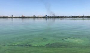 В реке Днепр зафиксировали критическое превышение химических загрязнителей