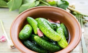 Малосольные хрустящие огурцы быстро и вкусно: пошаговый рецепт