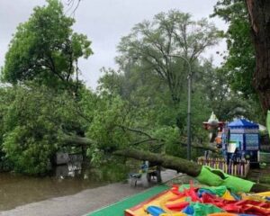 В Днепре в парке Глобы дерево рухнуло на детские аттракционы