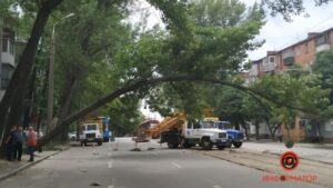 В Днепре на Богдана Хмельницкого дерево упало на провода: движение перекрыто