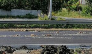 Ужасная вонь: под Днепром трассу засыпало тушками мертвых куриц