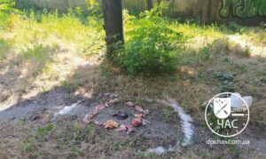 Проводили ритуал: в Днепре возле Дворца Ильича нашли кости и органы в кругу из соли